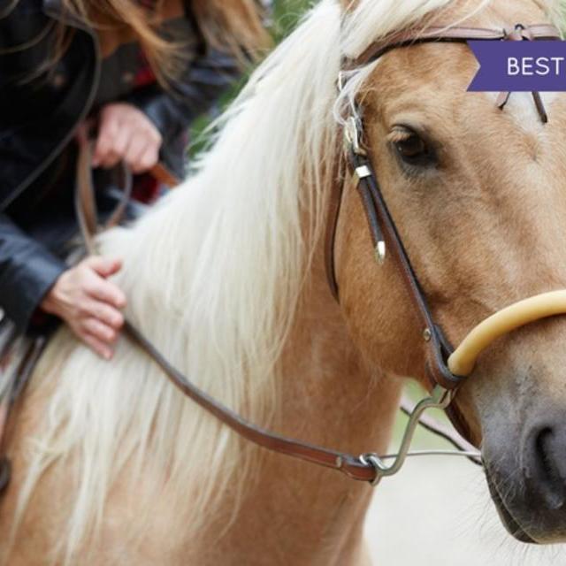 Horseback-Riding Class with Four Private Lessons at Bergen Equestrian Center
