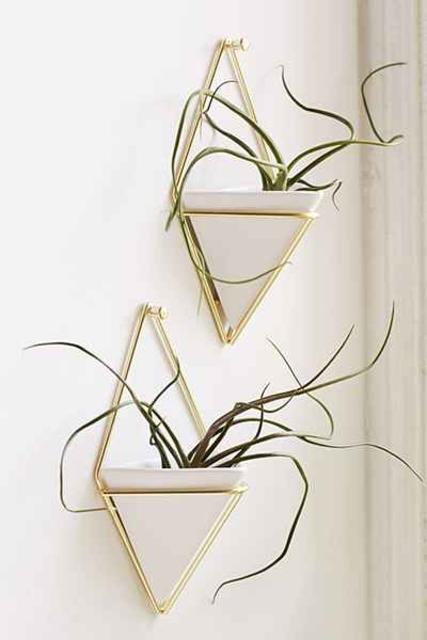 Umbra Trigg Wall Planter Set