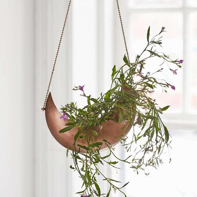 Crescent Hanging Planter