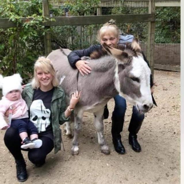 Winslow Farm Animal Sanctuary In Honor Of Andrea Wojcik