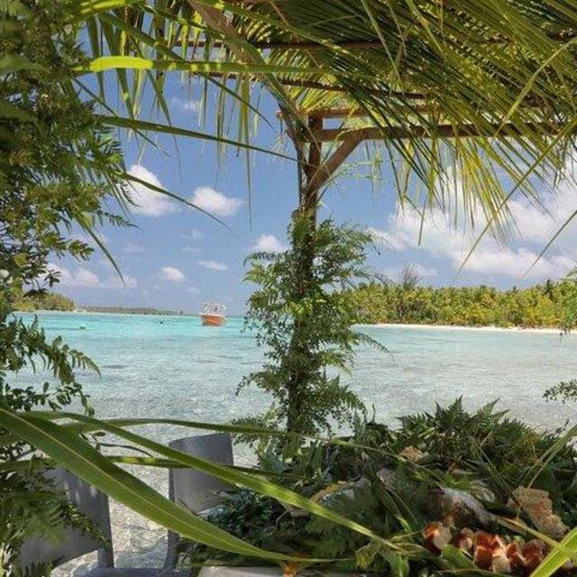 Boat Tour and Lunch on an Island on our Honeymoon