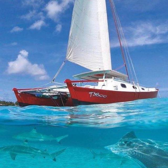 Snorkeling & Sailing on a Catamaran on our Honeymoon