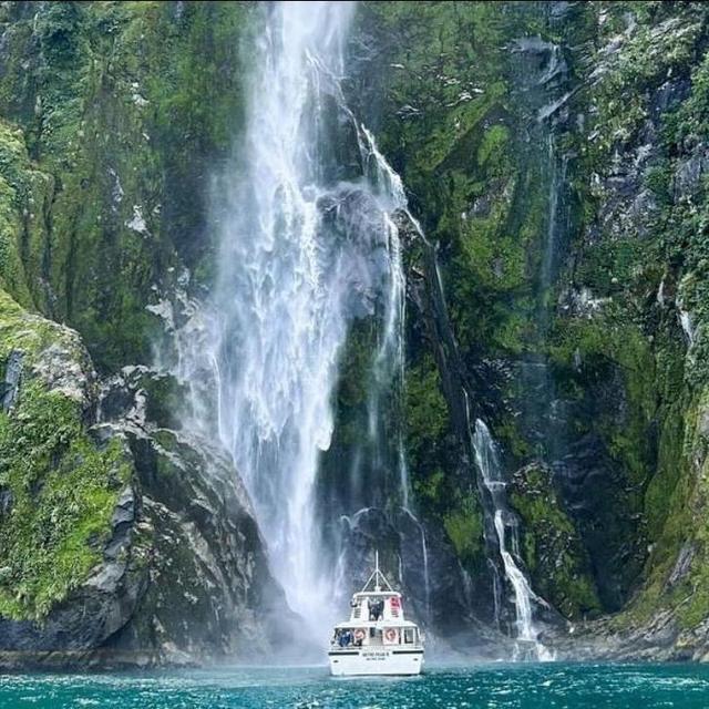 Bus and Boat Tour to Milford Sound, NZ