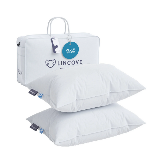 Cloud Canadian Down Pillow - Set
