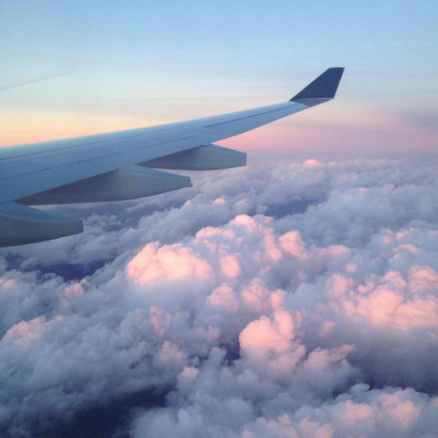 Airfare ✈️