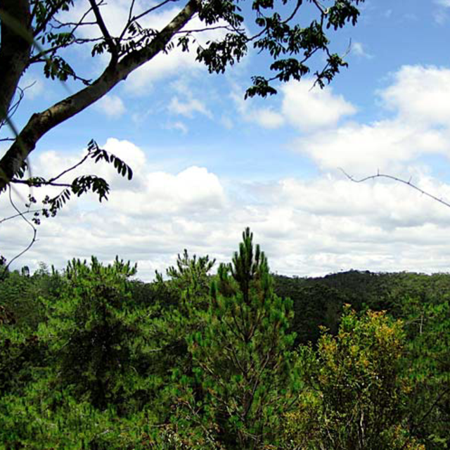 Andasibe-Mantadia National Park Tour
