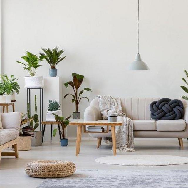 Furniture & Decor Fund