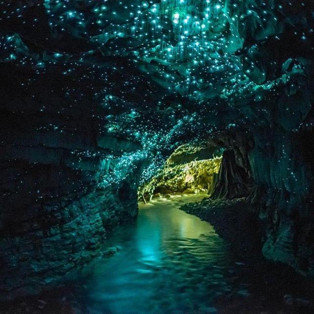 Glow worm caving/rafting adventure on the West Coast