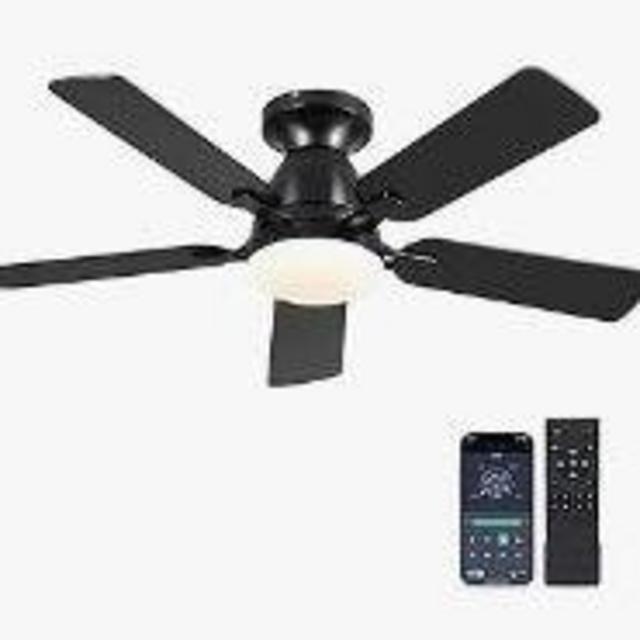 Ceiling Fan