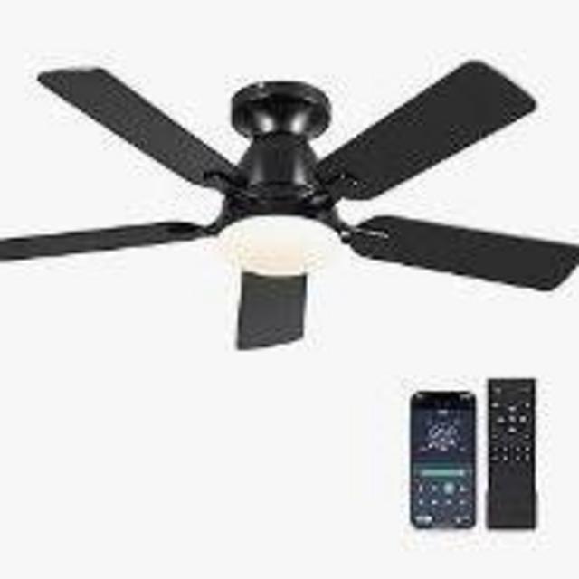 Ceiling Fan
