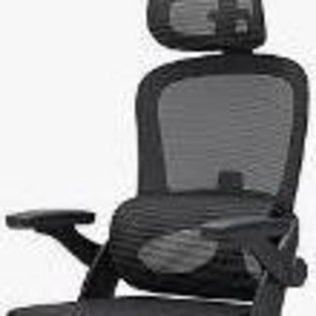 Mesh Office Chair