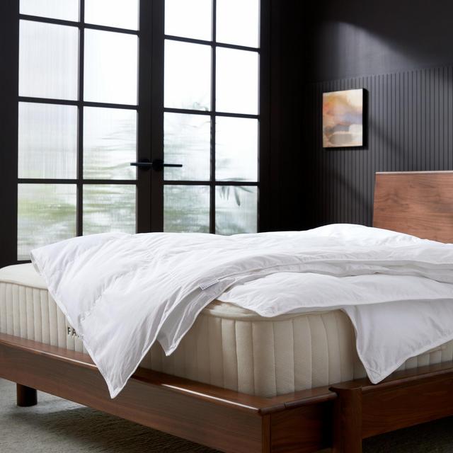 Down Duvet Insert