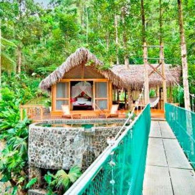 Treehouse BNB in Monteverde Cloud Forrest