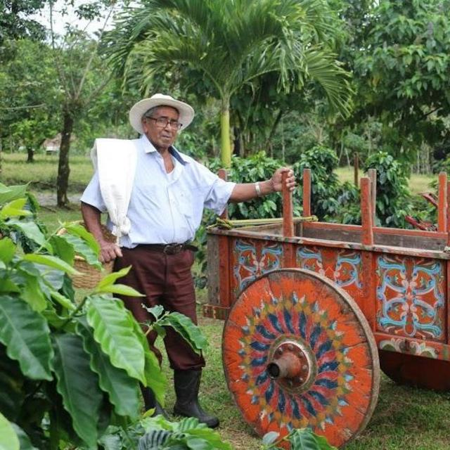 Coffee Plantation Trip