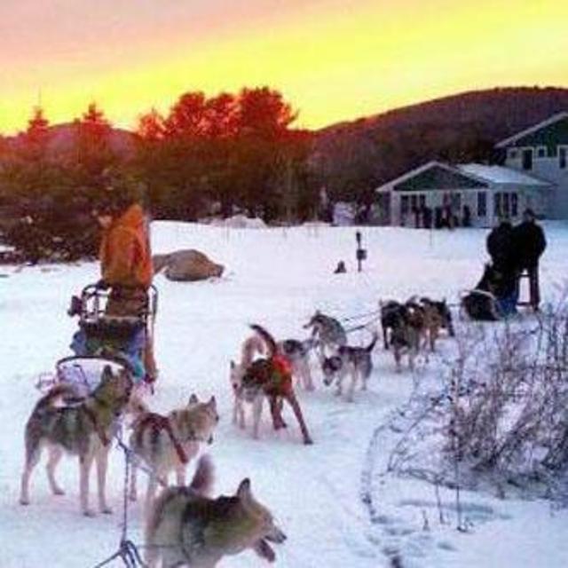 Honeymoon Excursion - Dog Sled Adventure for Two