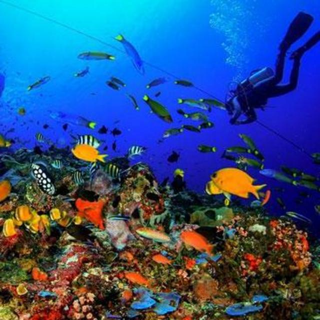 Snorkeling Adventure (and gear!)