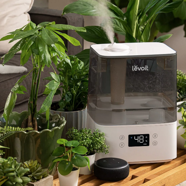 LEVOIT Smart Humidifiers, Cold Midst