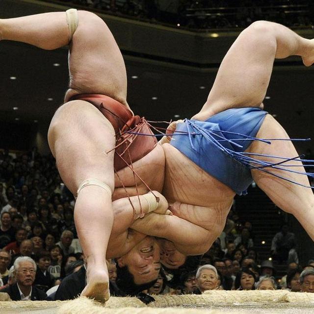 Tickets To Sumo Wrestling Match