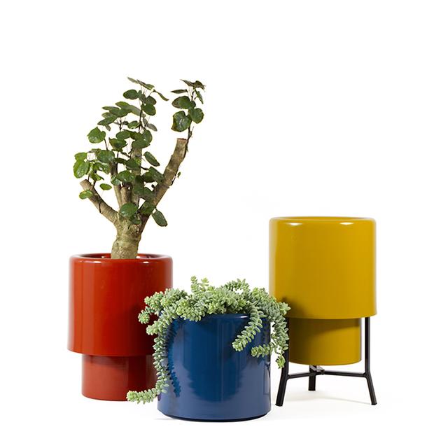 Arro Planter - Basso in Black Cherry