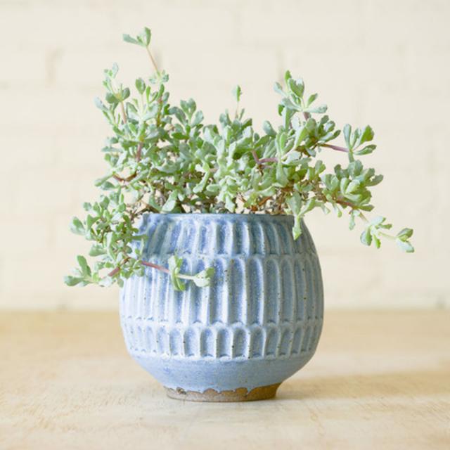 Carved Planter - any color