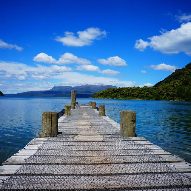 Accommodations at Lake Rotorua