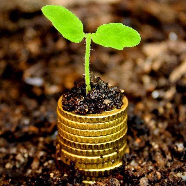 Student Loan Payoff Fund