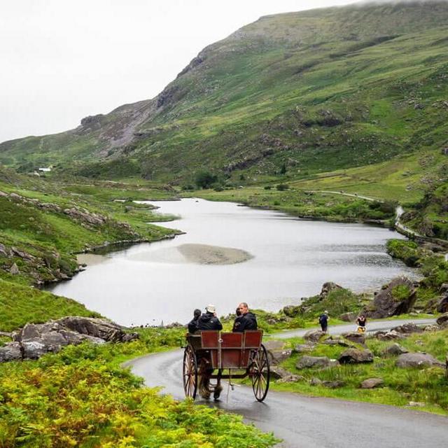 Horse and buggy ride